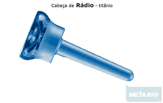Rádio Cabeça